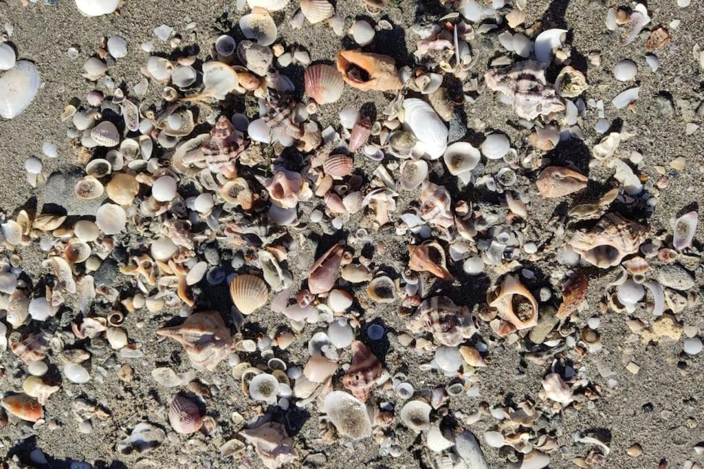 Santa Pola Con Tres Dormitorios Playa Levante Exteriör bild